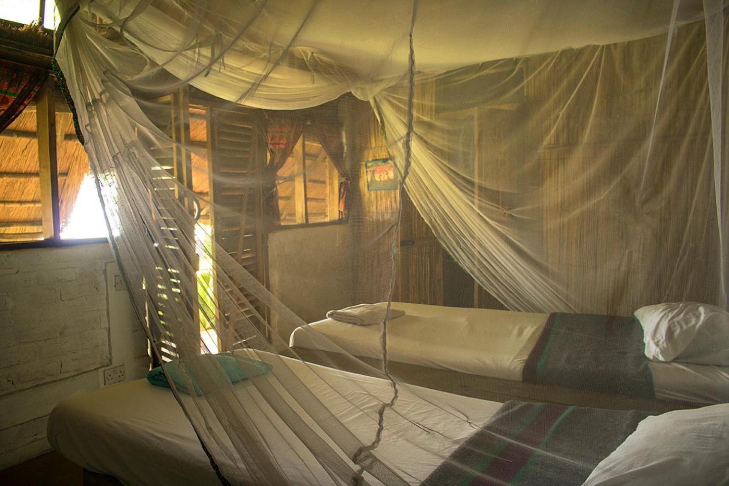 Mgoza Lodge Cape Maclear Pokój zdjęcie
