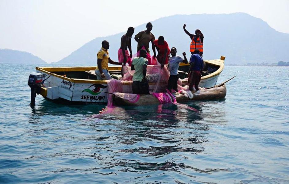 Mgoza Lodge Cape Maclear Zewnętrze zdjęcie